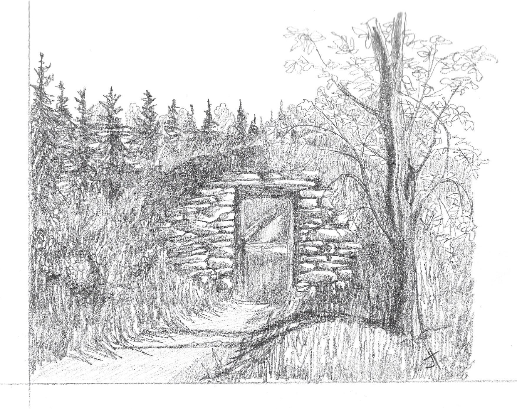 Q. 'root cellar' Jane Tims