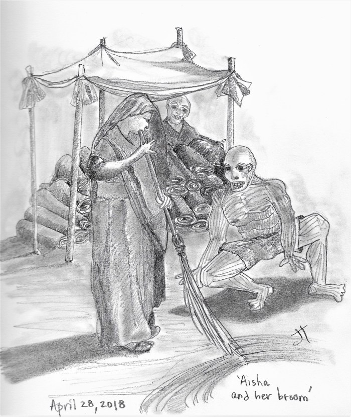 aisha and her broom (2)