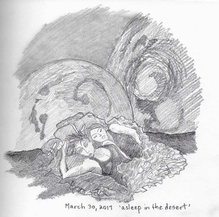 'asleep in the desert'paperback