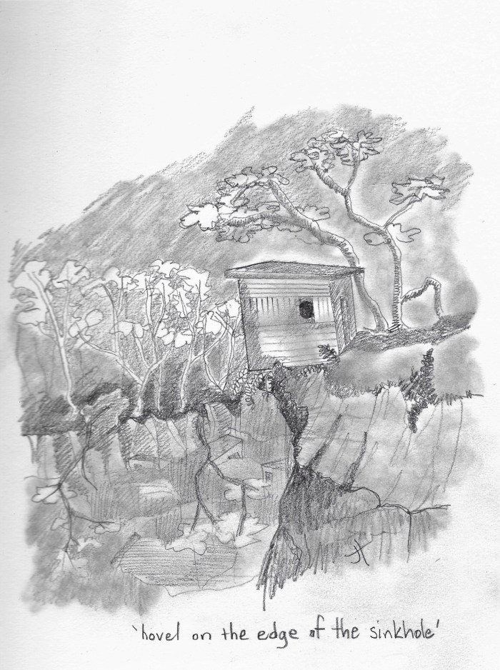 'hovel on the edge of the sinkhole'paperback