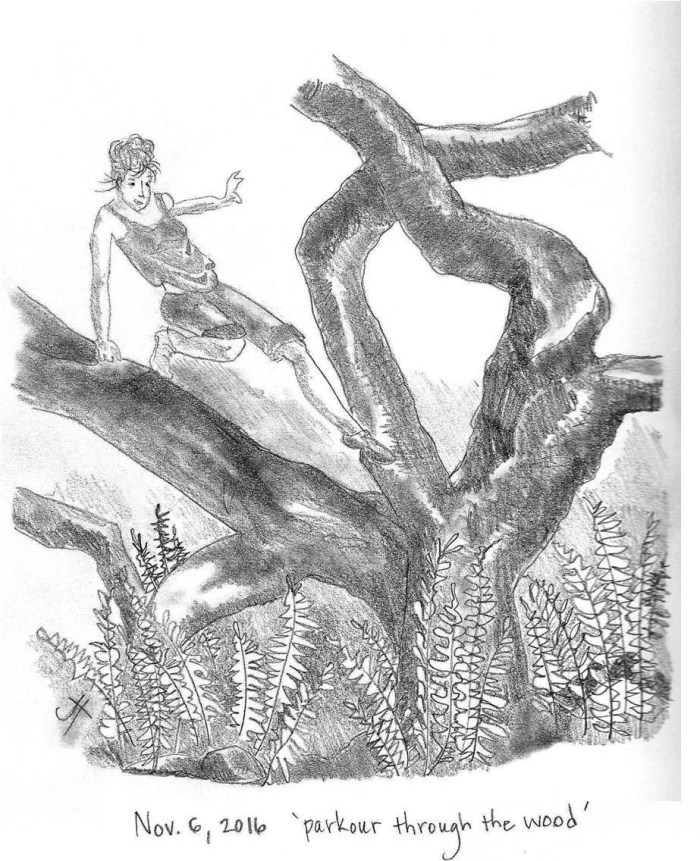 'parkour through the wood'