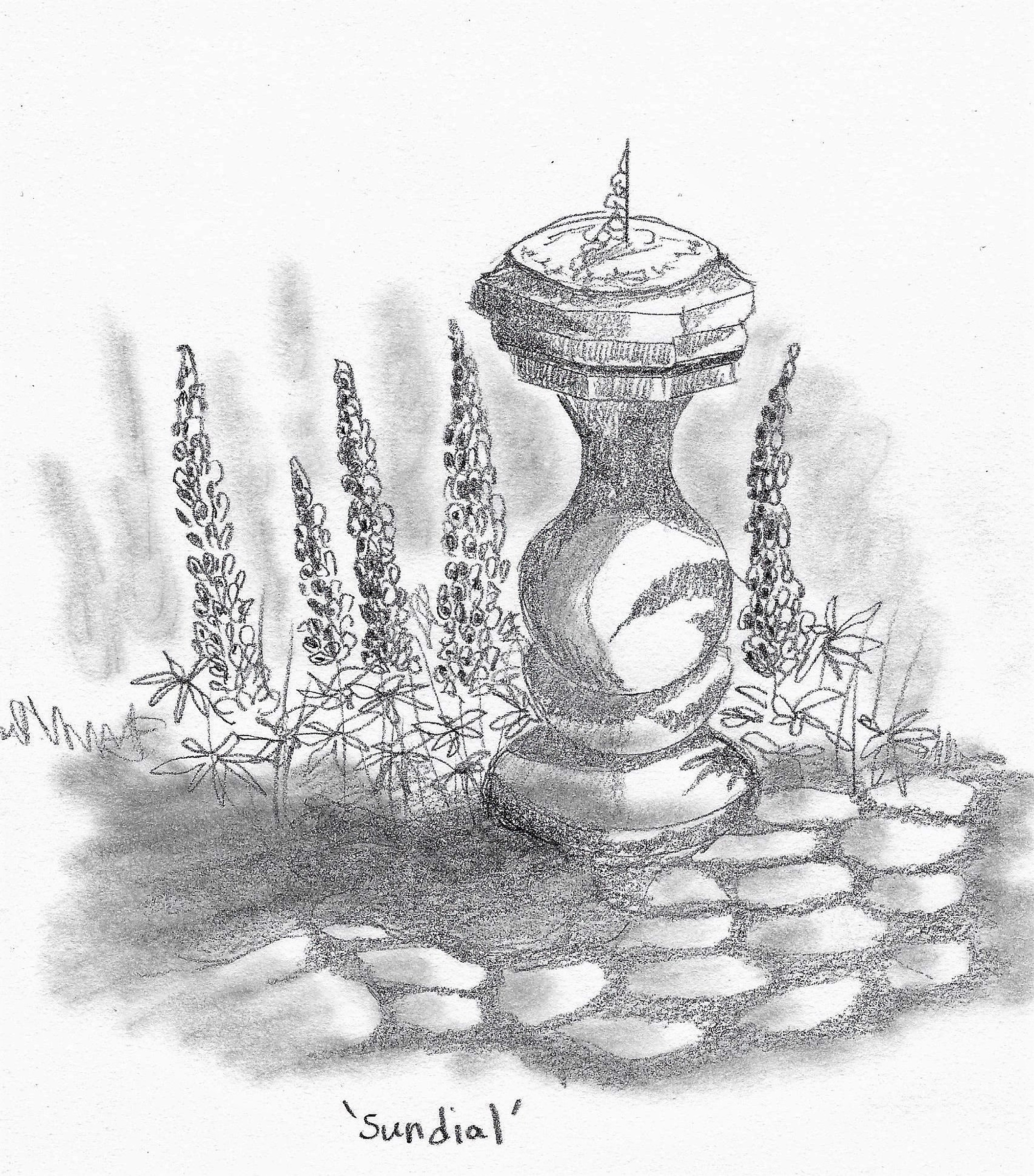 sundial and lupins paperback