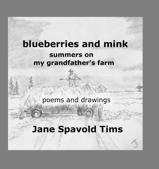 Blueberries and mink cover pp