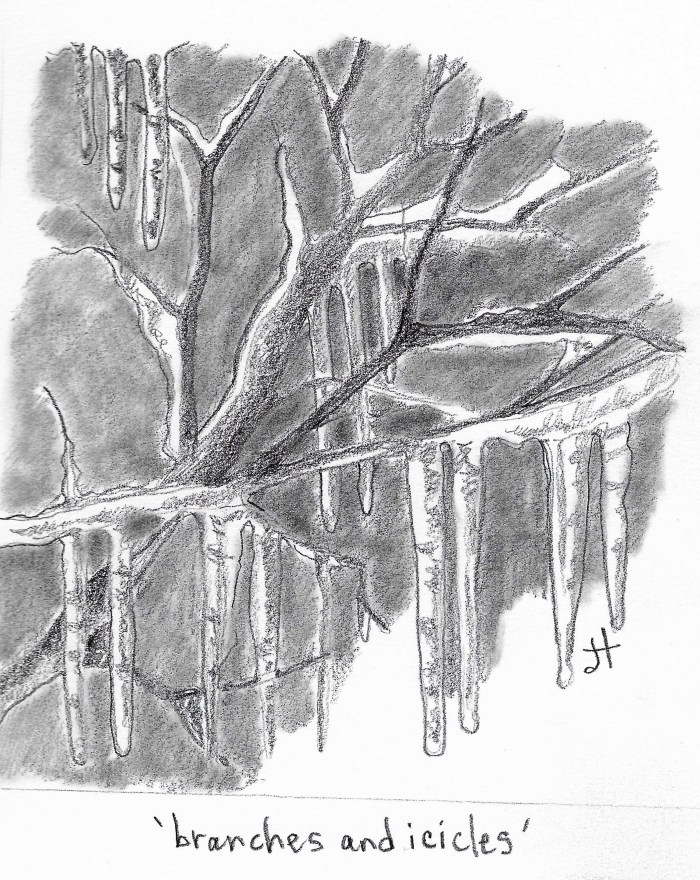 branches and icicles paperback