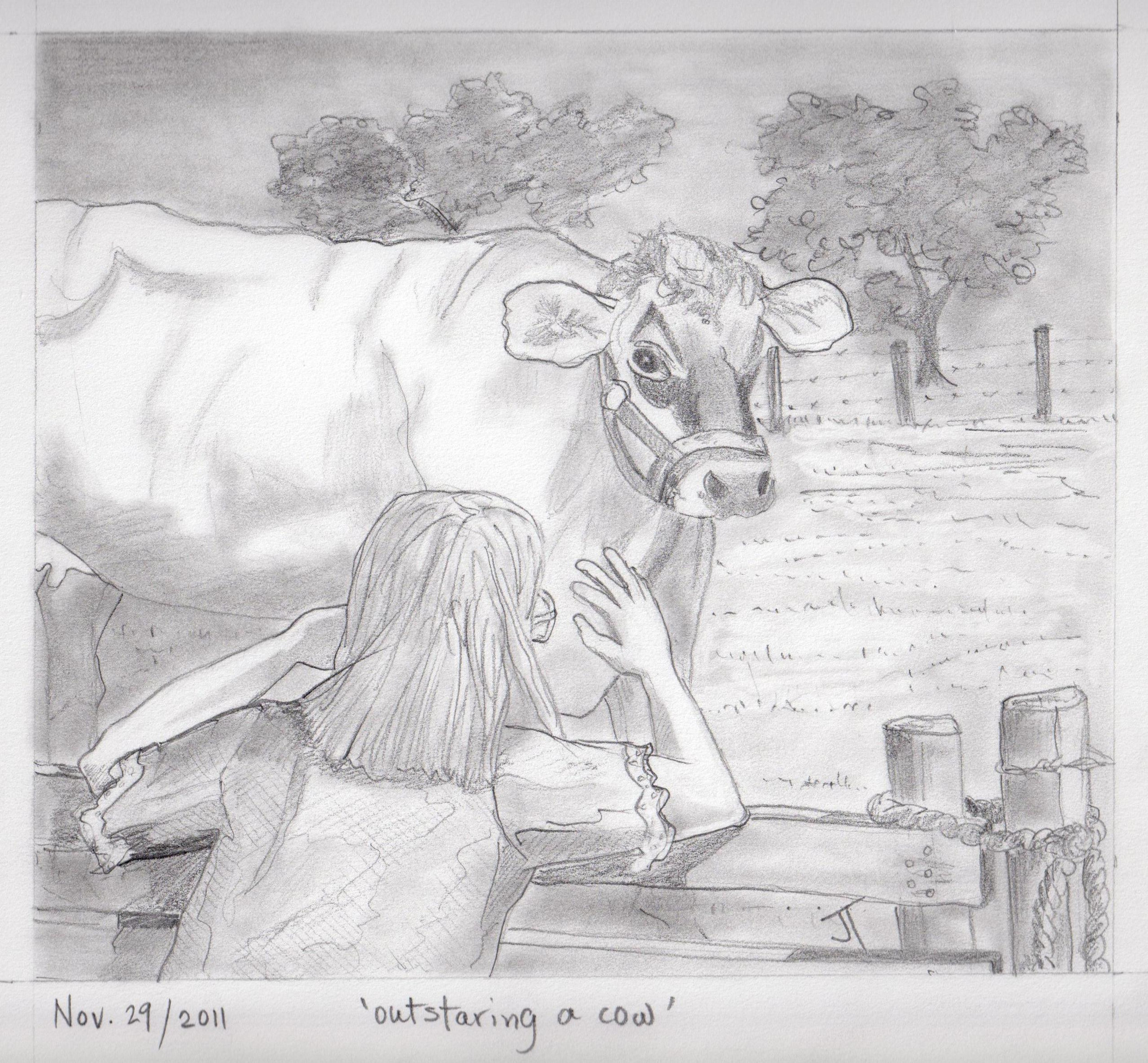 outstaring a cow paperback